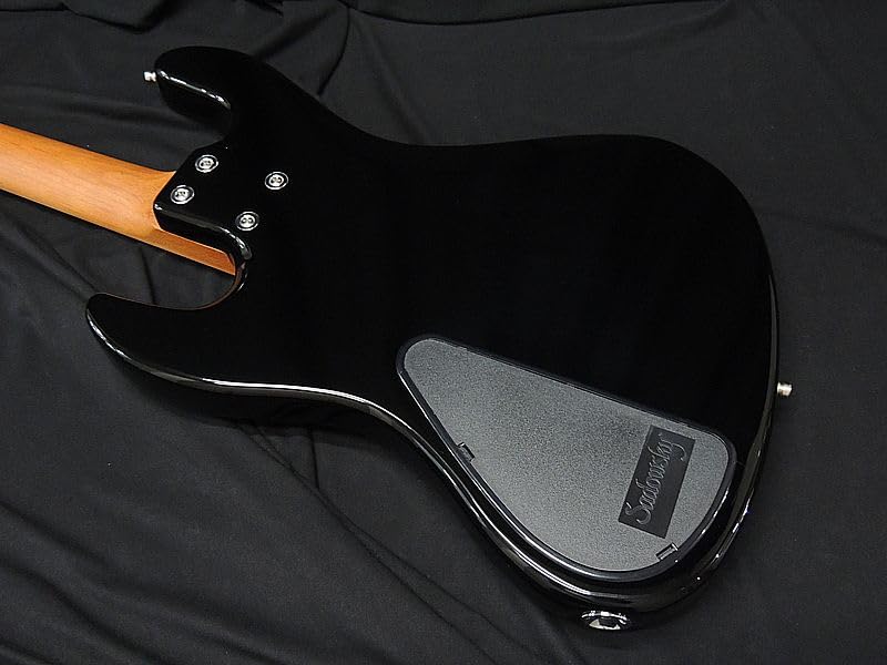 Amazon | Sadowsky Metro Express MX21 VJ4 BLK/M Black サドウスキー